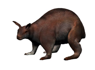 Illustration for article titled Top 10 Prehistoric Mammals That Were Way Cooler Than Dinosaurs